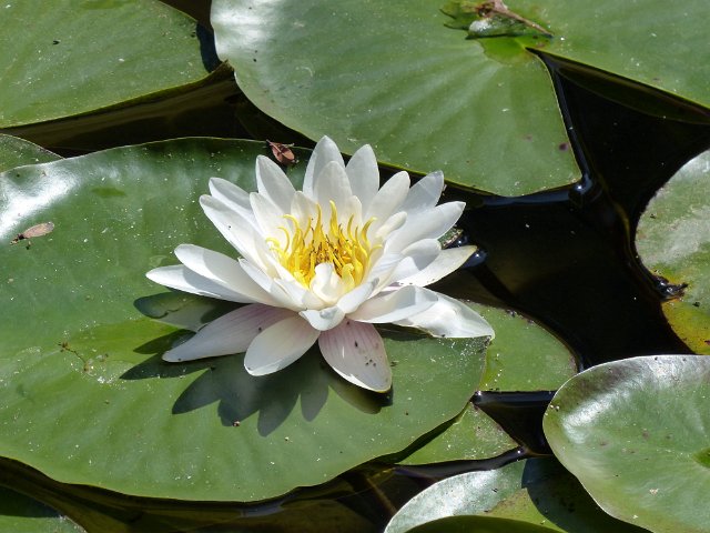 P1080482