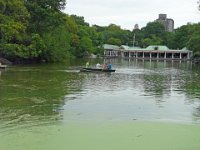 Central Park Lake P1030628