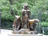Central Park Zoo P1030614