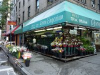 8th Avenue P1030249