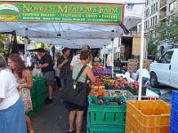 Union Square Market P1040109