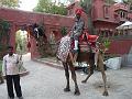 hotelgajnerbikaner497
