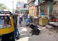 promenadejaisalmer487