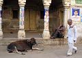 ranakpur105