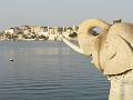 udaipur920