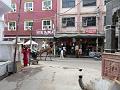 pushkar1043