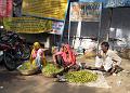 pushkar241