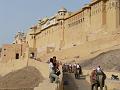 fortamberjaipur114
