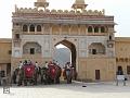fortamberjaipur157