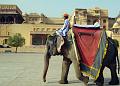 fortamberjaipur160