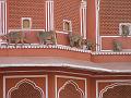 jaipur104