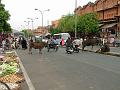 jaipurbazar138