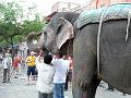 jaipurbazar438
